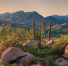 ADERO Scottsdale Resort, an Autograph Collection Hotel Instagram