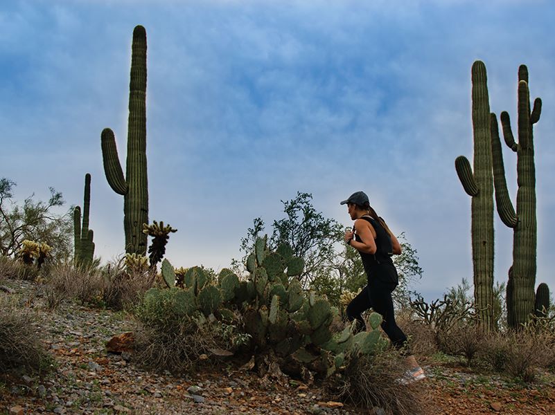 MCDOWELL MOUNTAIN REGIONAL PARK