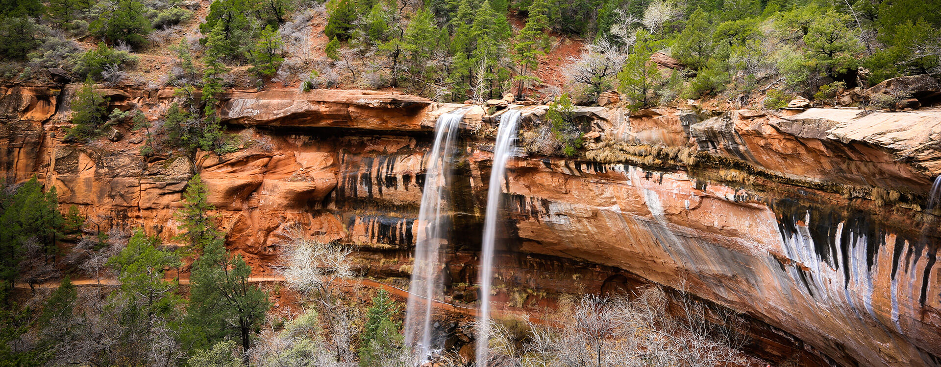 Adventures in Hotel Arizona