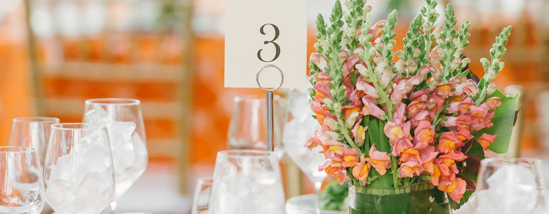 Plan Your Wedding in Hotel Scottsdale