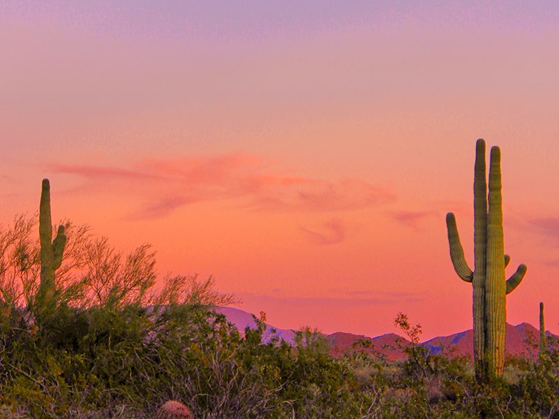 CLEANSE + RESET IN A PURE DESERT SETTING 